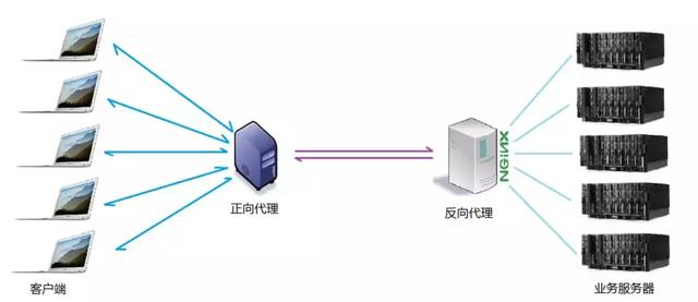 一篇文章搞懂Nginx是什么，能干什么