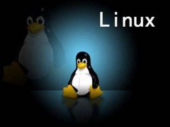 談談Linux運維人員是否需要掌握一門編程語言