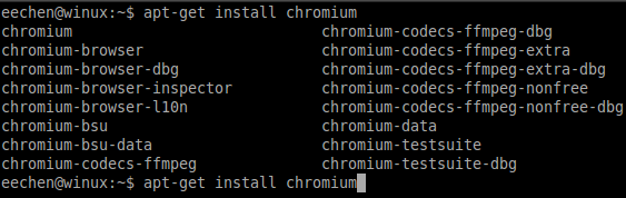 Ubuntu系統(tǒng)上Chromium瀏覽器的安裝教程