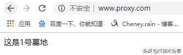 Nginx配置反向代理,負載均衡實戰解析流程 Nginx配置反向代理,負載均衡實戰解析流程