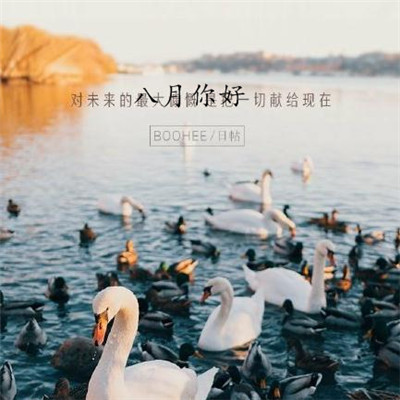 2019八月你好朋友圈勵志圖片 最新八月加油的微信圖片無水印