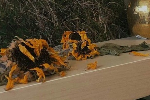 有哲理有內(nèi)涵的微信簽名勵志一句話 現(xiàn)實(shí)一點(diǎn)的微信簽名