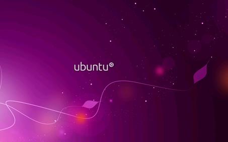 Ubuntu使用集成開發環境QT無法輸入中文的解決方法