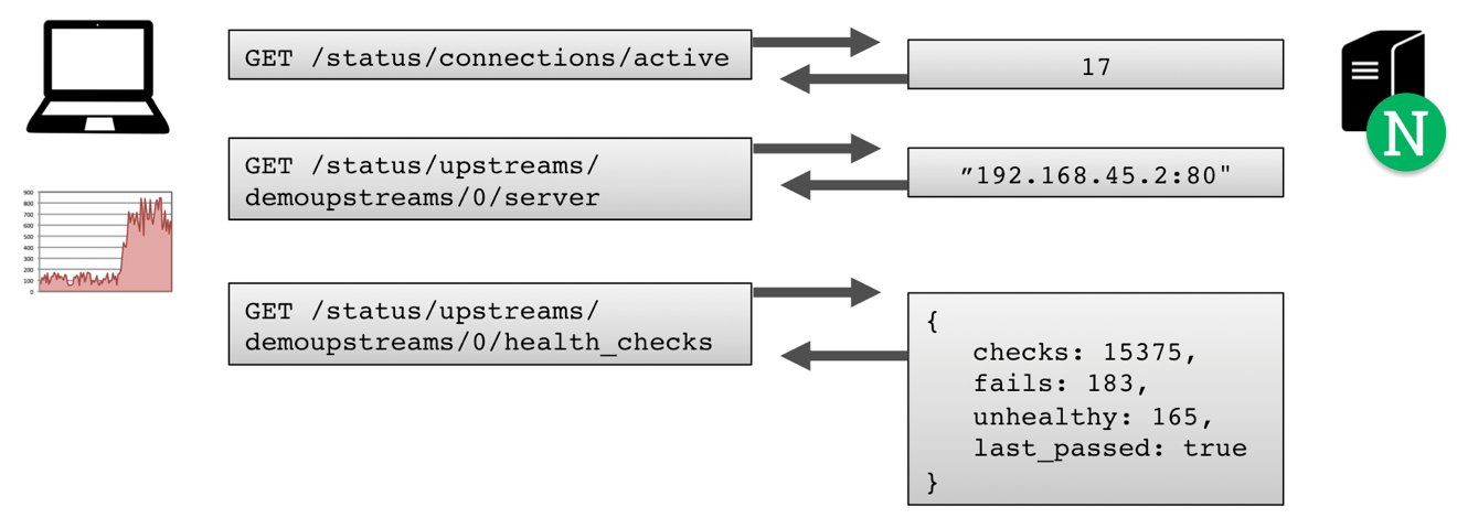 簡介使用Nginx Plus的在線活動監控功能的方法