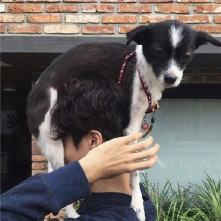 帥氣有個性的男生聊天背景圖2020 沒什么可在意的開心就好