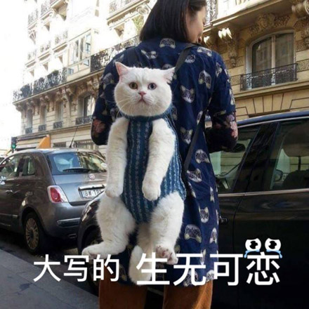 人間不值得是什么梗 人間不值得是什么意思