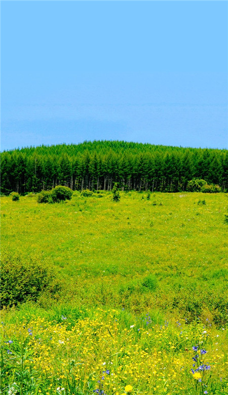 微信聊天背景圖高清唯美風景2020 愿時光賜一個盜不走的愛人
