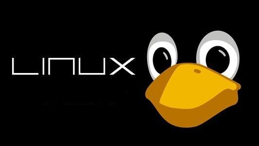 2019 年 5 大事件表明 Linux 與開源的統治地位