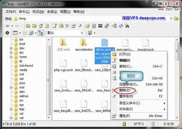使用 WinSCP 管理 Linux VPS/服務器上的文件 圖文教程
