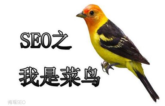 網(wǎng)站優(yōu)化過程中不同階段的seo優(yōu)化策略