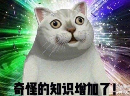 killingpart是啥 網絡詞語killing part什么意思