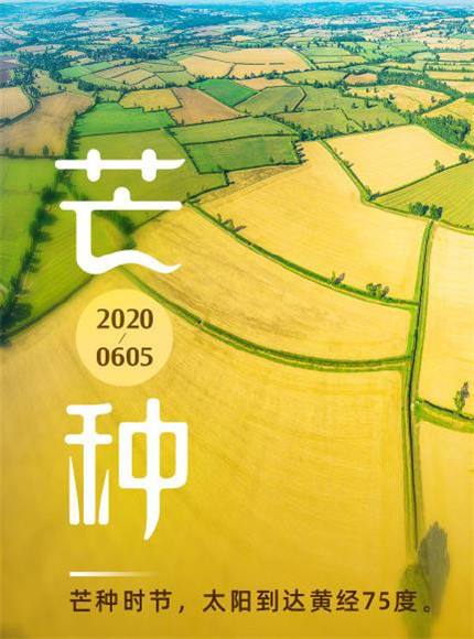 2020芒種圖片高清唯美 芒種節(jié)氣圖片大全帶字