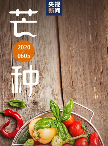 2020芒種圖片高清唯美 芒種節(jié)氣圖片大全帶字