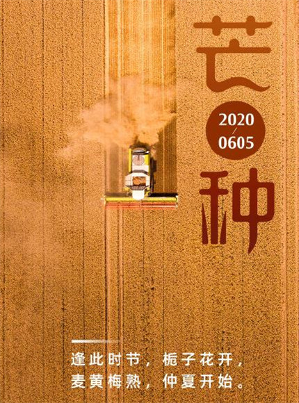 2020芒種圖片高清唯美 芒種節(jié)氣圖片大全帶字