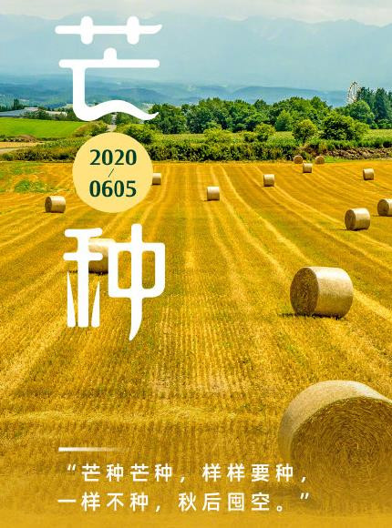 2020芒種圖片高清唯美 芒種節(jié)氣圖片大全帶字