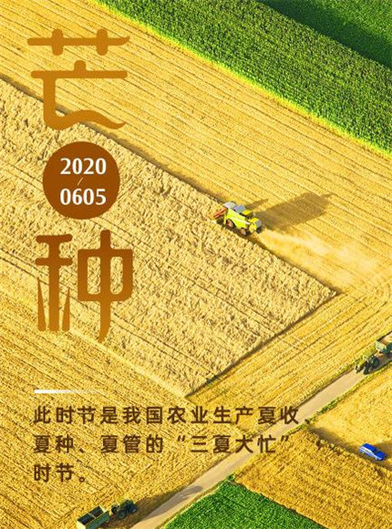 2020芒種圖片高清唯美 芒種節(jié)氣圖片大全帶字