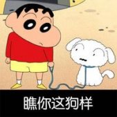蠟筆小新表情圖片帶字搞笑版 長這么丑還出來約