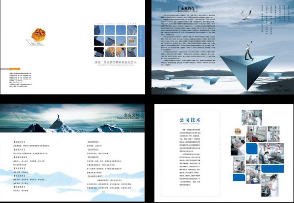 SEOer怎么才能一氣呵成寫出文章?