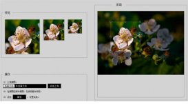 struts2+jsp+jquery+Jcrop實(shí)現(xiàn)圖片裁剪并上傳實(shí)例