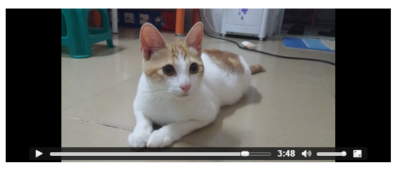 transform實現HTML5 video標簽視頻比例拉伸實例詳解