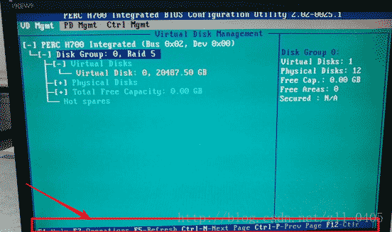 Dell R710 服務器做Raid0與Raid5磁盤陣列的圖文教程