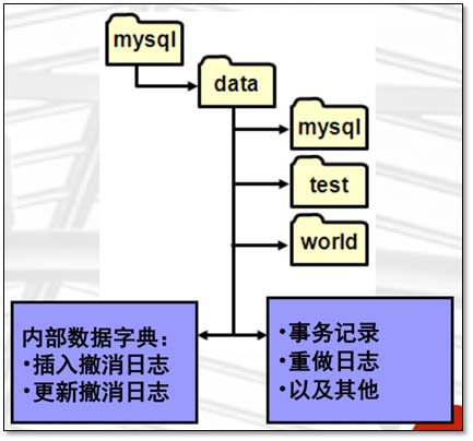 基于MySQL的存儲引擎與日志說明(全面講解)