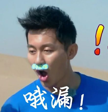 李晨表情包帶字 惡搞李晨qq表情
