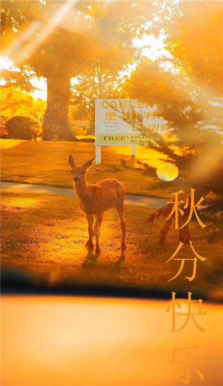 秋季落日限定秋至快樂皮膚 秋季亂穿衣季節