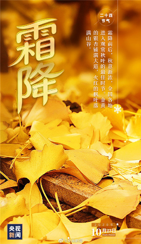 2020霜降節氣帶字壁紙圖片 秋天最后一個節氣壁紙