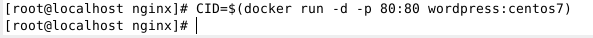 再Docker中架設完整的WordPress站點全攻略