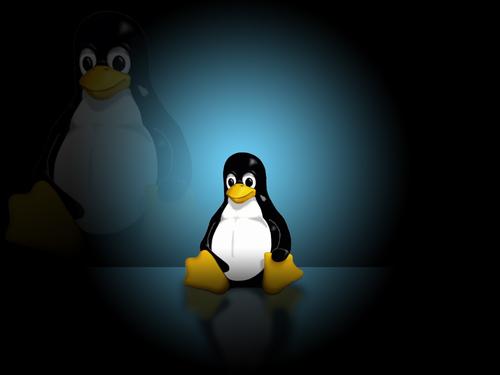大神教你在Linux中查找和刪除重復(fù)文件的4種方法