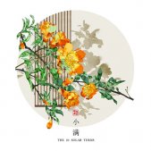 超好看的二十四節(jié)氣古風(fēng)插畫素材 說好永遠(yuǎn)的不知怎么就散了