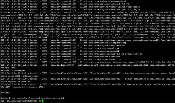 java 中 zookeeper簡單使用