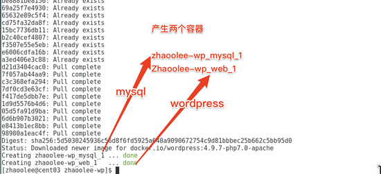 docker一鍵安裝wordpress的方法步驟
