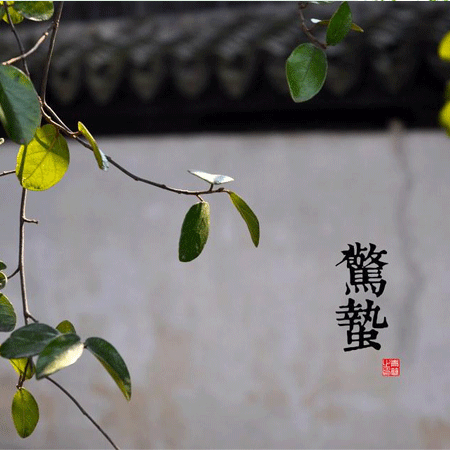 2021最新二十四節(jié)氣驚蟄朋友圈圖片 春風(fēng)輕送又是驚蟄春意濃