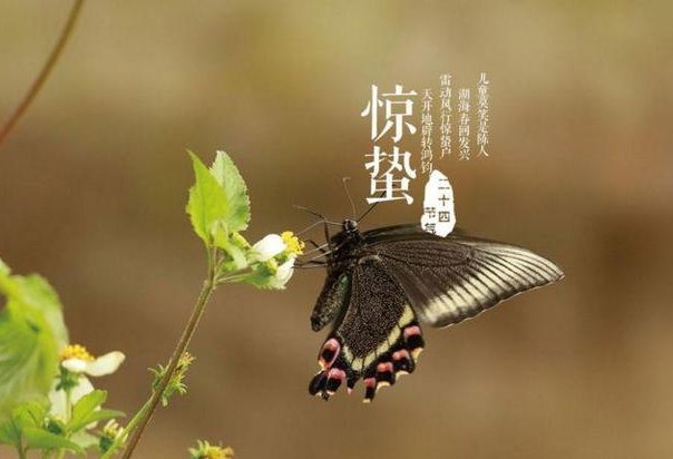驚蟄祝福語大全 驚蟄文案朋友圈說說 驚蟄祝福語簡短