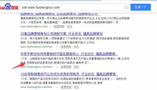 案例解析內頁快速收錄并有排名