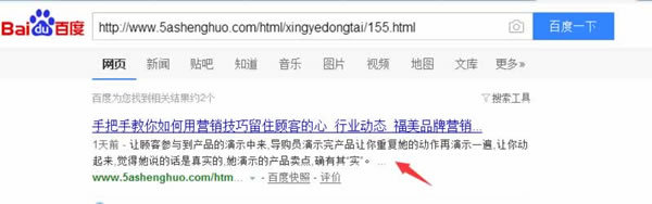 案例解析內頁快速收錄并有排名