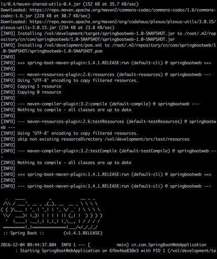 將spring boot應用打入docker中運行的實現方法