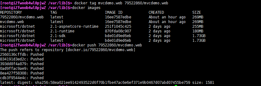 .NETCore Docker實現容器化與私有鏡像倉庫管理