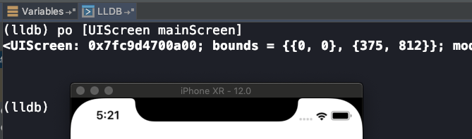 適配iPhoneXS max和iPhoneX R的方法示例