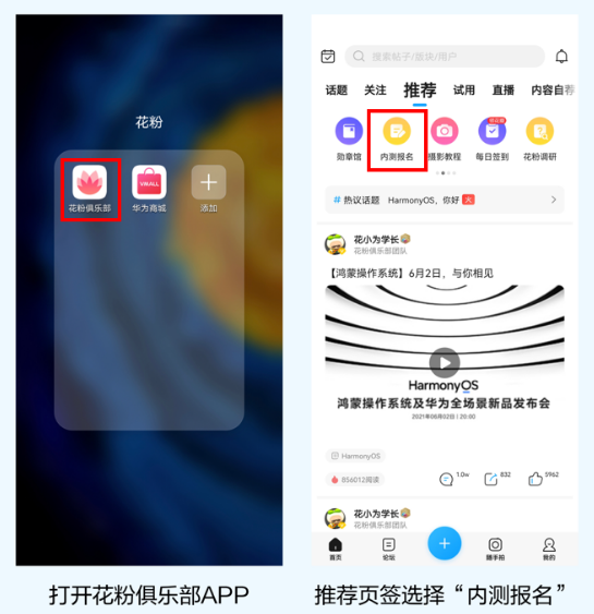 榮耀手機內測鴻蒙系統怎么申請 榮耀手機鴻蒙系統內測機型有哪些