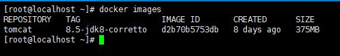 通過idea打包項目到docker的操作方法