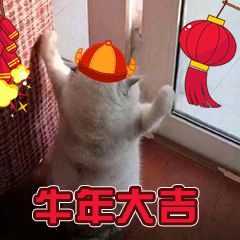 Springboot居然可以設(shè)置動(dòng)態(tài)的Banner(推薦)