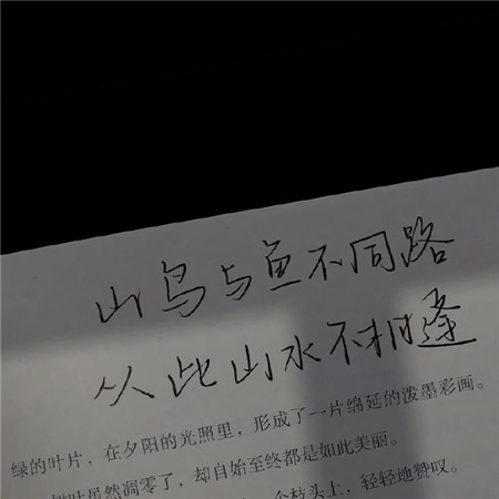 2021可愛很個性的俏皮朋友圈背景圖 很酷沒有動態的有趣素材2021