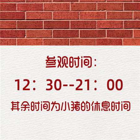2021可愛很個性的俏皮朋友圈背景圖 很酷沒有動態的有趣素材2021