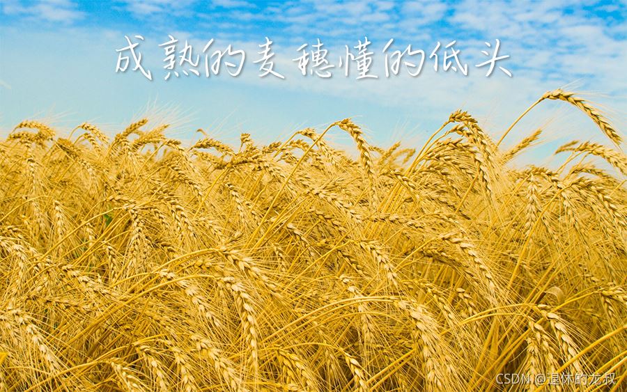 Python正則表達式保姆式教學(xué)詳細教程