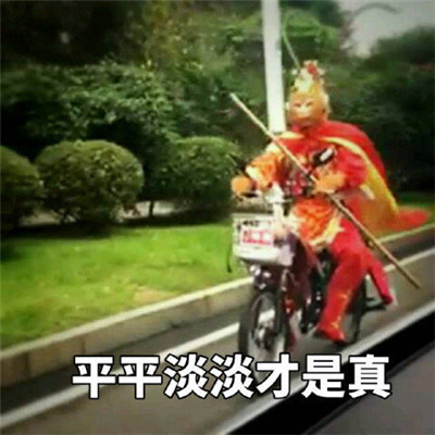 看了很生氣的惡搞暴走表情包 總有遠方可以奔赴