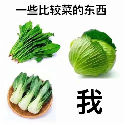 看了很生氣的惡搞暴走表情包 總有遠方可以奔赴