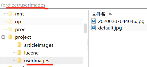 使用SpringBoot設置虛擬路徑映射絕對路徑